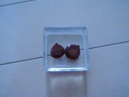 �I�X�^�����W���I�u�W�F1