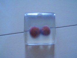 �I�X�^�����W���I�u�W�F2