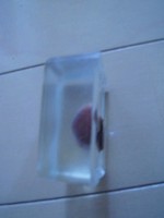 �I�X�^�����W���I�u�W�F3